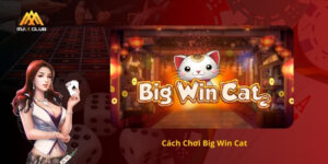 Cách chơi Big Win Cat